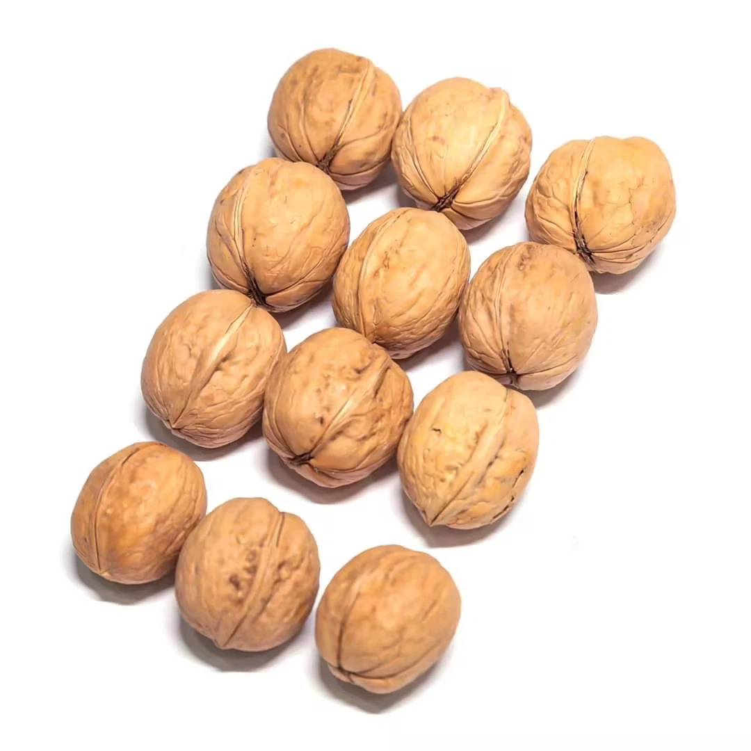product-1080-1080 product-1080-1080